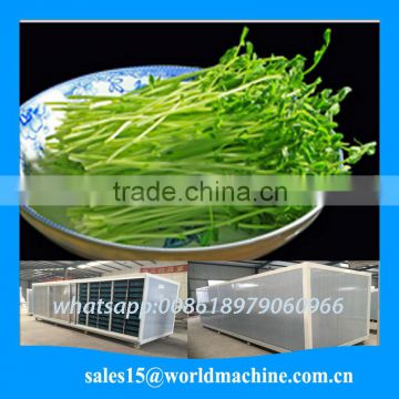 hydroponic cultivation system/for growing fodder barley grass organic vegetables