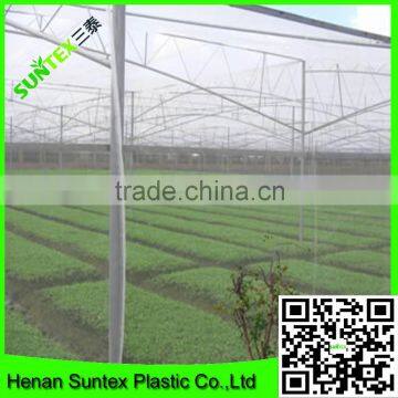 China Factory Supply High Quality Anti Bugs Net/insect Proof Net photo-6