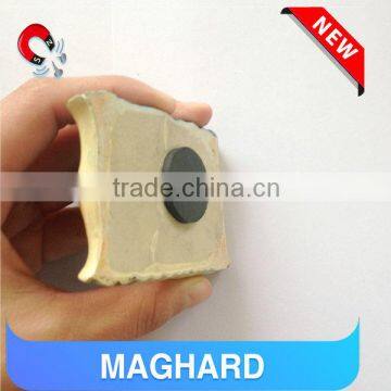 China Manufacturer Supply OEM Polyresin Fridge Magnet photo-5