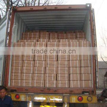 Galvanized Stainless Concrete Nail/Concrete Steel Nail photo-6