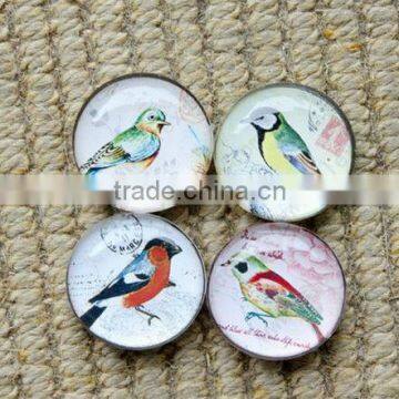 Promotional animal birds crystal glass fridge magnets