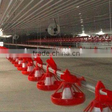 design layer chicken cages for poultry chicken farm