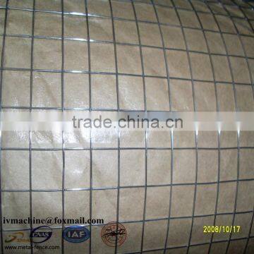 Galvanized Welded Wire Mesh Aviary Wire Mesh photo-4