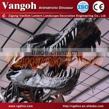 VGS151-indoor playground dinosaur skull replica