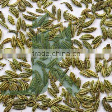 FOENICULUM VULGARE - VOLATILE OIL 0.05%