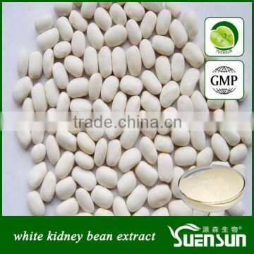 white kidney bean extract 1% 2% phaseolin white kidney bean extract powder