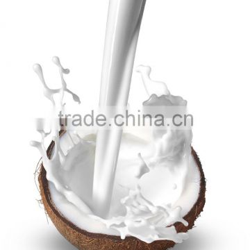 N32 coconut powder non dairy creamer for solid beverage instant soluble 31% fat