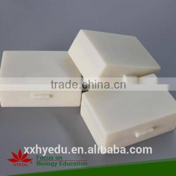 Individual slides you can choose from Insecta Slides, plastic Prepared Slides,insecta leg Prepared Slides