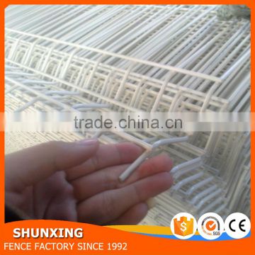 RAL9010 White Color Plastic Powder Coated Welded Wire Mesh Fence