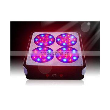 2013 best apollo 4 led grow light 3w 60pcs*3W for growing plants/Hydroponics  made in China