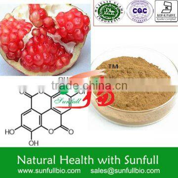 Pomegranate Skin Extract 40% Ellagic acid