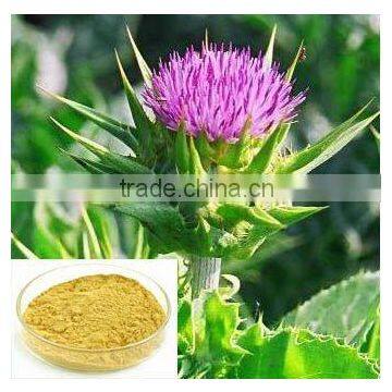 Milk Thistle Plant Extract// food additive