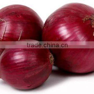 Red Onions Indian Onions photo-3