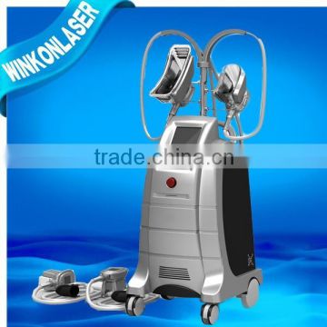 Vertical Factory Hot Sale! Beauty Machines Weight Loss Cryolipolysis Equipment Cellulite Reduction