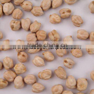 8mm Chickpeas suppliers