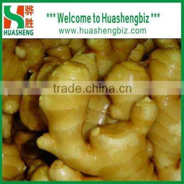 China fresh ginger/half dry ginger/semi dry ginger/air dried ginger with good prices