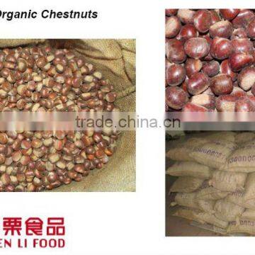 Sweet and Easy Peeling Chinese Chestnut photo-6