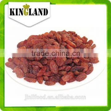 Best Common Cultivation Type Top Sale AAA Sultana Raisin Price ,Xinjiang