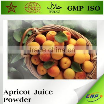 BNP Dried Apricot Powder