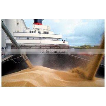 SEA FREIGHT DELIVERY( Coal, Iron Ore, Cement, Fertilisers, Salt, Containers, Steel, Grain, Coke, Scrap, Timber,) photo-3