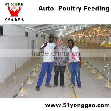 Wincore Automatic Poultry Equipment Feeding System In South Africa Chicken Feeding Line