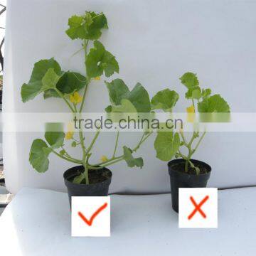 Yellow Powdered Fulvic Acid Fertilizer in Agriculture photo-5