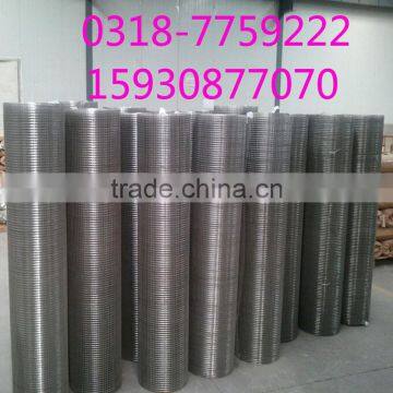 SUS304 welded wire netting iron welded wire mesh