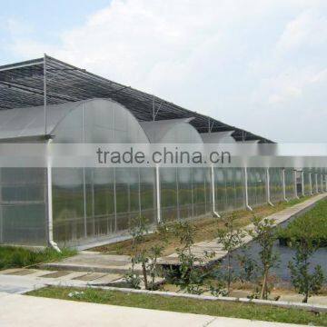Plastic Sheet for Commercial Greenhouse photo-5