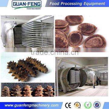 Chinese Supplier Vacuum Freeze Dryer Lyohilized Fruit Machine photo-6
