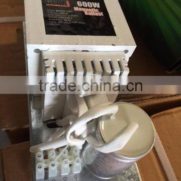 High Quality Grow Light 600w Magnetic Open Ballast of Indoor Garden photo-5