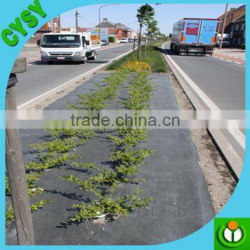 Greenhouse Ground Cover Plastic Woven pp Weed Control Mat for Sale