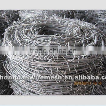 galvanized barbed wire