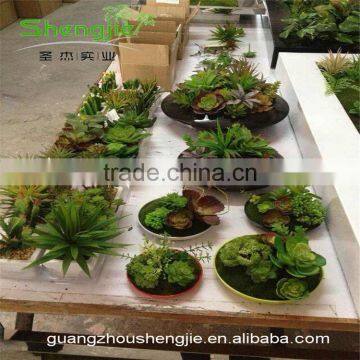 SJLJ013383 Artificial Succulent Plants for Wall / Wedding / Hotel Decoration photo-3