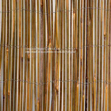 Garden  bamboo stick fence gardening green bamboo poles/sticks/cane