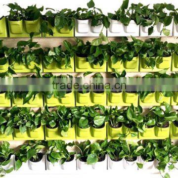 Easy Combined Wall Mounted Planter Indoor Garden Green Wall photo-5