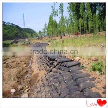 Ecological Non Woven Bags photo-3