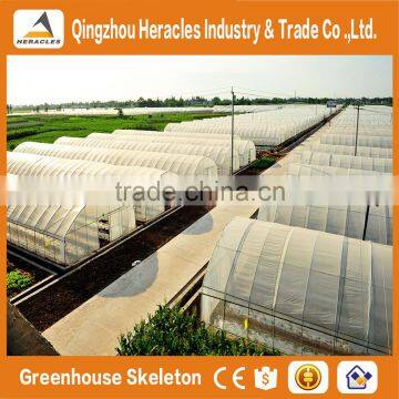 Heracles Low Cost Tropical Area Used Greenhouse photo-4