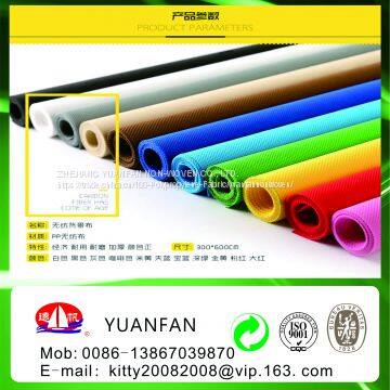High Quality Top Sale of Plain 100% pp Non Woven Fabric photo-3