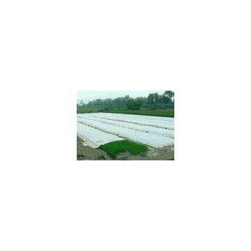 Spunbond Non Woven Agriculture Cover Fabric , Landscape PP Fabrics for Green House