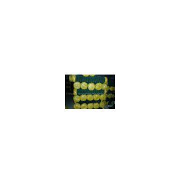 PVC Coated Chain Link Fence