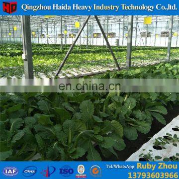 High Protection Non Woven Folding Protected Dust Face Masks