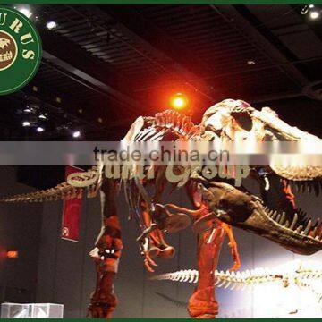 Lisaurus-I simulation skeleton dinosaur skeleton puzzles