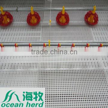 farm automatic broilers and chicken feeding system