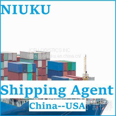 Express Service Logistics Service From China to United States