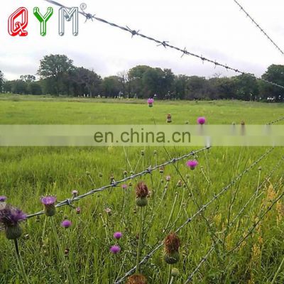 High Quality Galvanized Barbed Wire for Sale