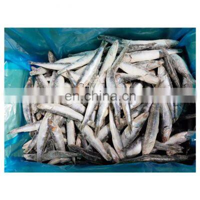 OEM packing IQF frozen sardine fish pilchard for export