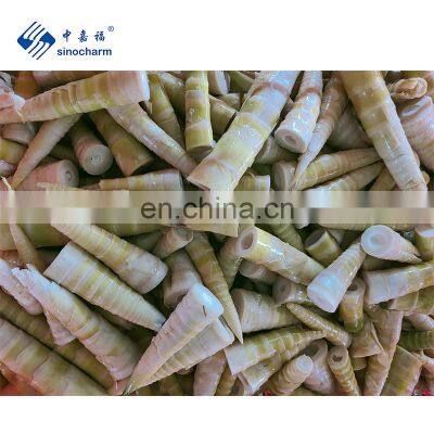 Frozen Bamboo Shoots Spring Bamboo Shoots Fresh Thunder Shoots