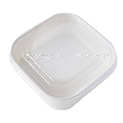 Eco Friendly Take Away Square Bowl