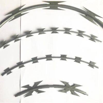 PVC PE Coated Galvanized High Strength Razor Barbed Wire for Protection Mesh/Farm Fencing photo-3