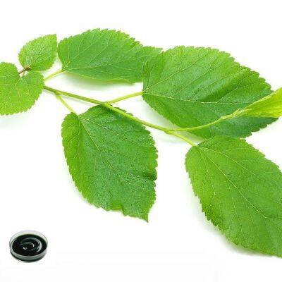 Food Grade Sodium Copper Chlorophyllin Powder E141ii Natural Green Pigment for Beverage & Cosmetics